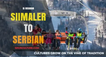 Bosnian vs. Serbian: Unraveling the Linguistic Similarities and Differences