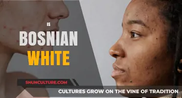 Is Bosnian Skin Tone Considered White? Exploring Cultural and Racial Identities