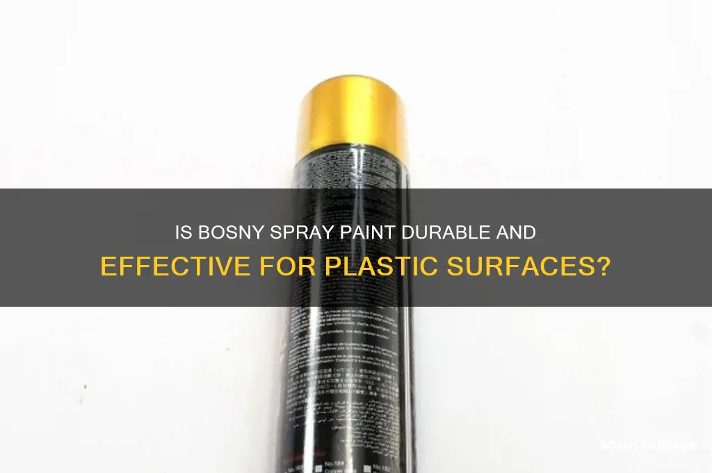 is bosny spray paint good for plastic