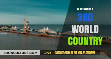 Botswana's Economic Status: Debunking Third World Country Misconceptions
