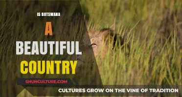 Botswana's Breathtaking Beauty: Exploring Its Stunning Landscapes and Wildlife