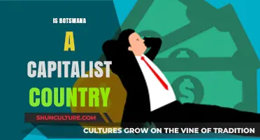 Botswana's Economic Model: A Capitalist Success Story in Africa?