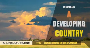 Botswana's Development Status: Analyzing Economic Growth and Challenges