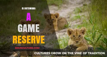 Exploring Botswana's Wildlife: Is It a Giant Game Reserve?
