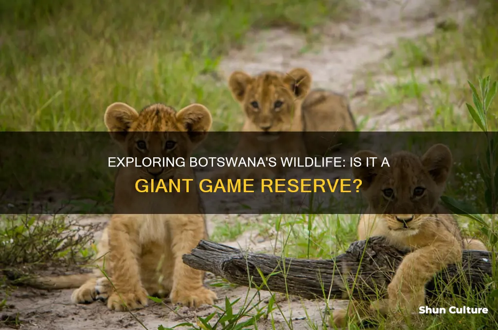 is botswana a game reserve