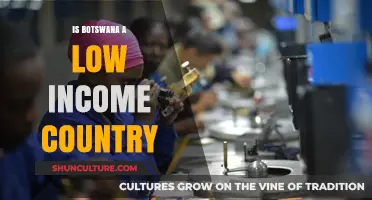 Botswana's Economic Status: Low-Income Country or Rising Star?