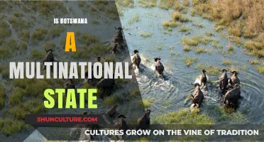 Is Botswana a Multinational State? Exploring Its Cultural and Political Identity