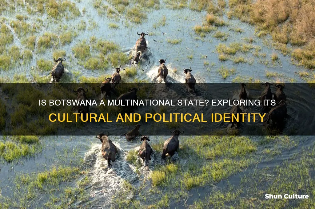 is botswana a multinational state