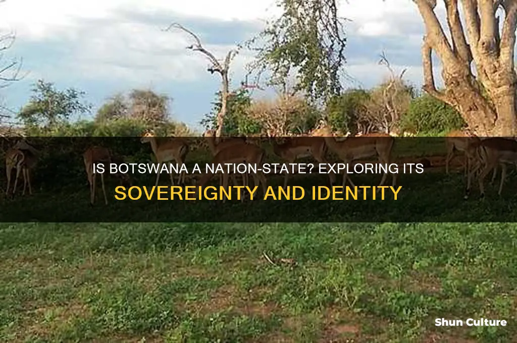 is botswana a nation state