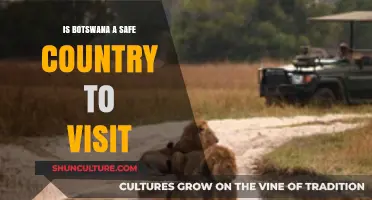 Exploring Botswana: Safety Tips for Travelers Visiting This African Gem