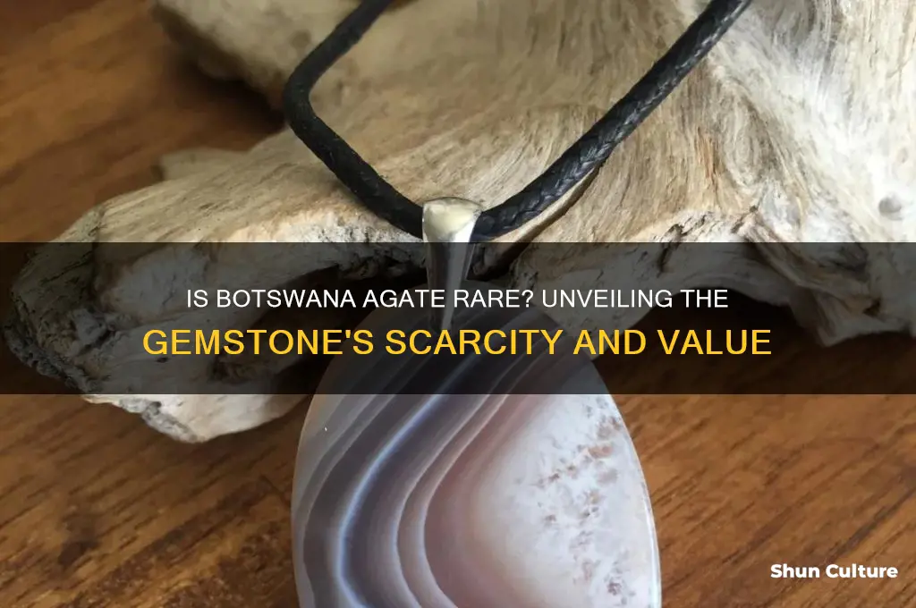 is botswana agate rare