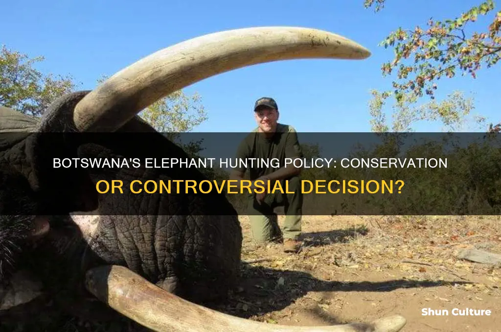 is botswana allowing elephants to be killed