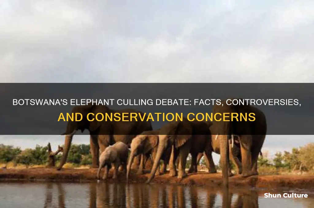 is botswana culling its elephants