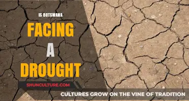 Botswana's Drought Crisis: Causes, Impacts, and Urgent Solutions Needed