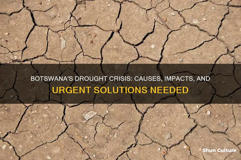 is botswana facing a drought