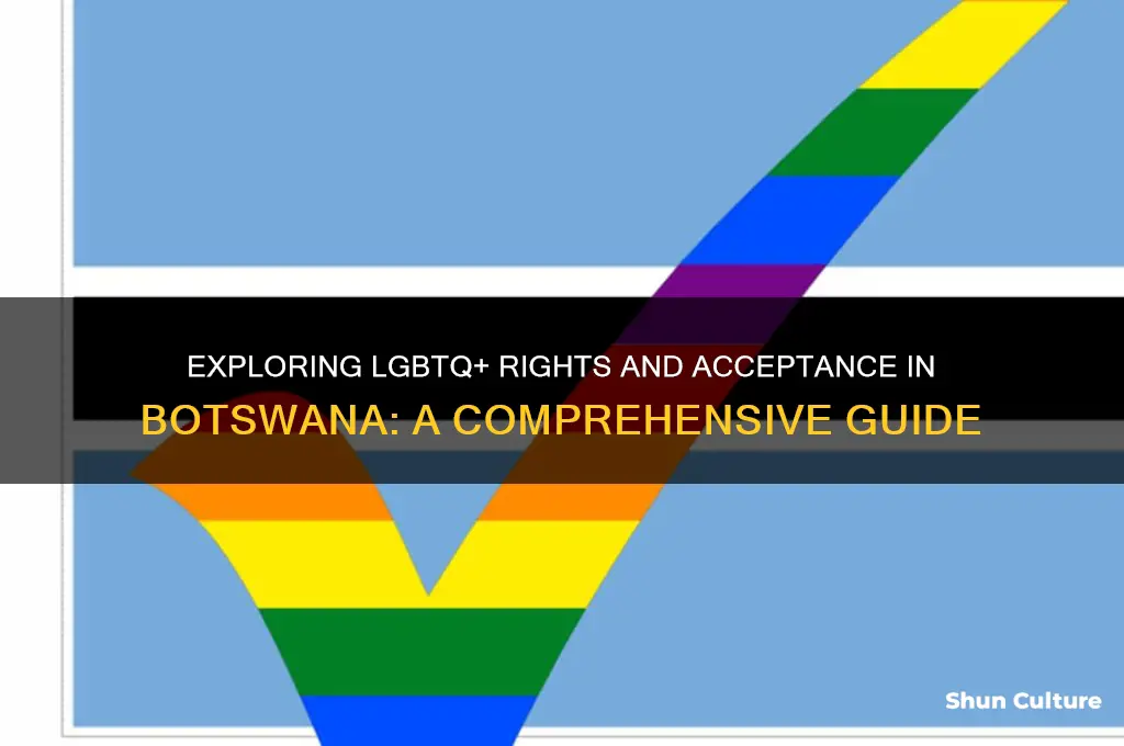 is botswana gay friendly