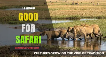 Botswana Safari Adventures: Unmatched Wildlife Experiences in Pristine Nature