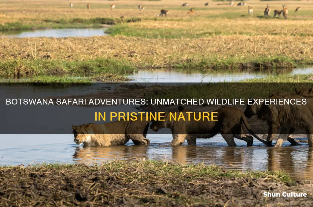 is botswana good for safari