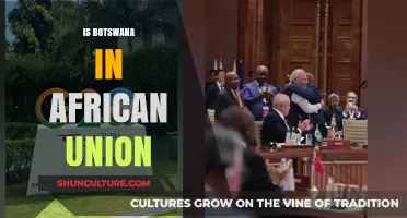 Is Botswana in the African Union? Exploring Membership and Impact
