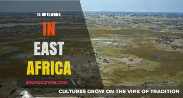 Is Botswana in East Africa? Exploring Its Geographic Location and Misconceptions