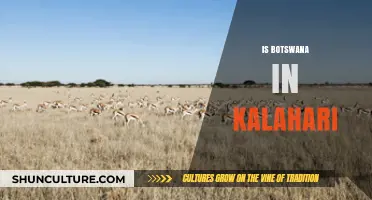 Exploring Botswana's Unique Location Within the Kalahari Desert