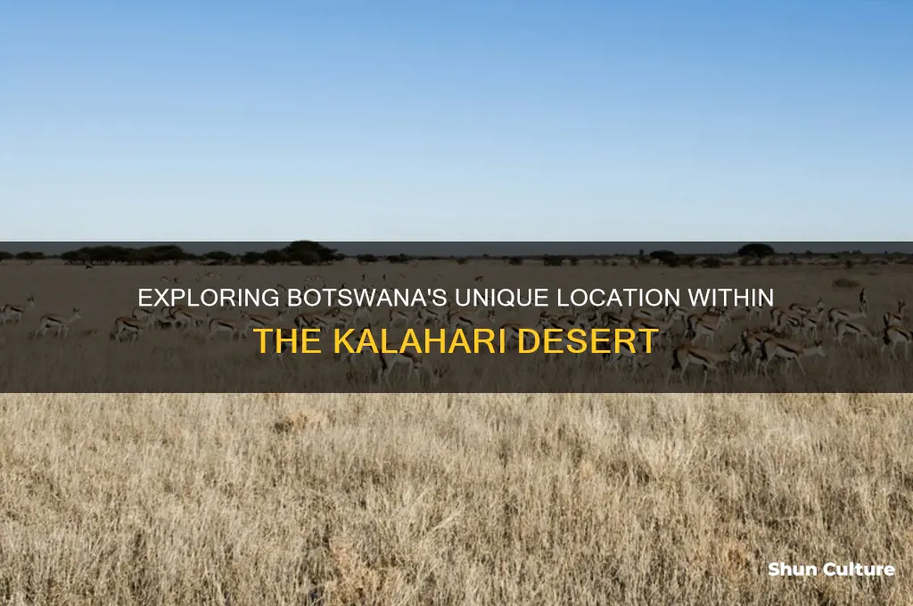 is botswana in kalahari
