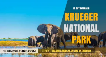 Botswana's Kruger Connection: Exploring Geographic Boundaries and Wildlife Conservation