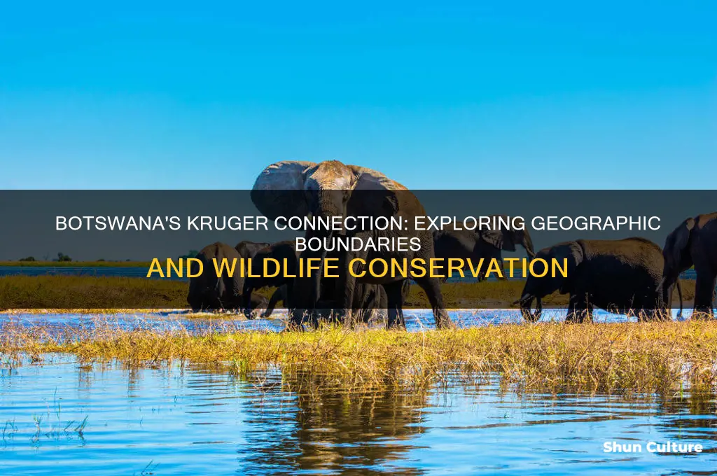 is botswana in krueger national park
