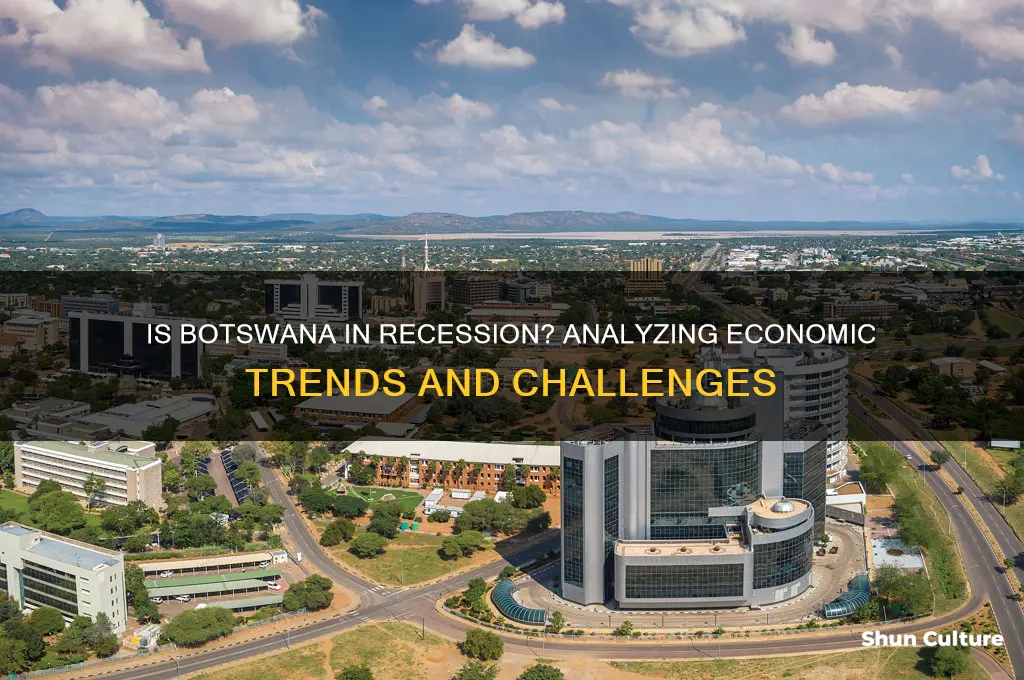 is botswana in recession