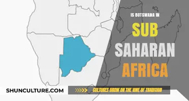 Is Botswana in Sub-Saharan Africa? Exploring Its Geographic Location