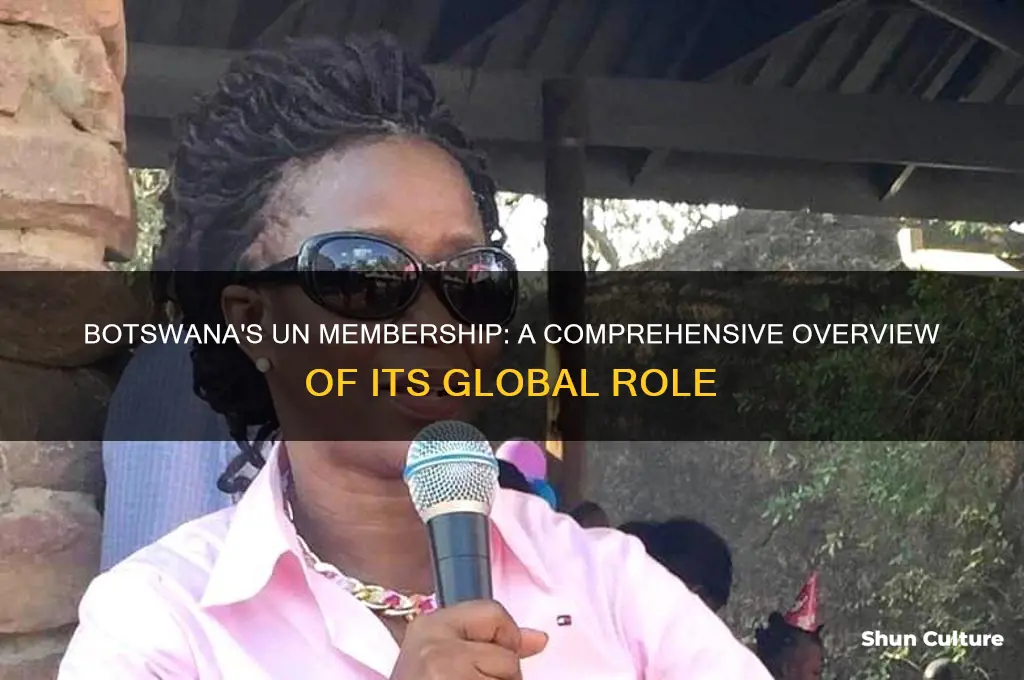 is botswana in the un