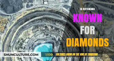 Botswana's Diamond Legacy: A Sparkling Reputation and Economic Powerhouse