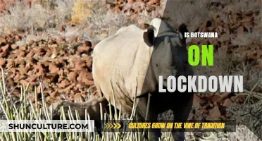 Botswana Lockdown Status: Current Restrictions and Public Health Measures Explained