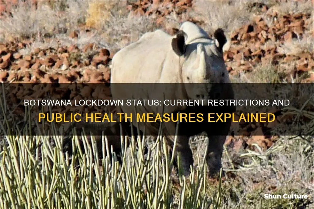 is botswana on lockdown