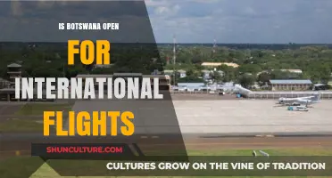Botswana Reopens Skies: International Flights Resume, Travel Updates 2023