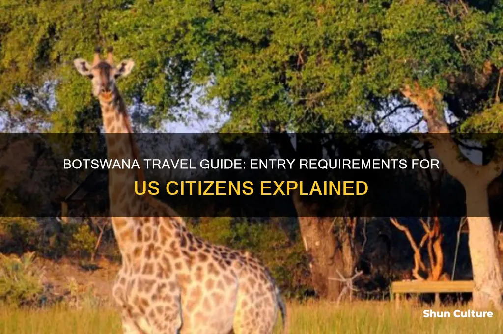 is botswana open to us citizens