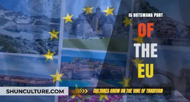 Is Botswana Part of the EU? Exploring Its Global Affiliations