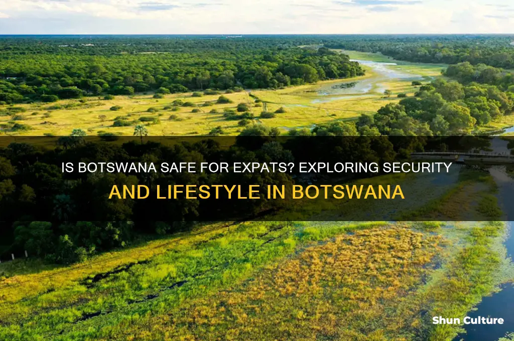 is botswana safe for expatriates