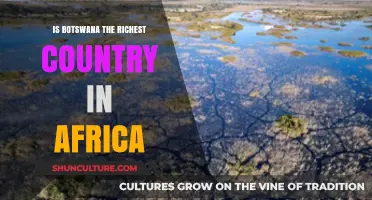 Botswana's Wealth: Is It Africa's Richest Nation?