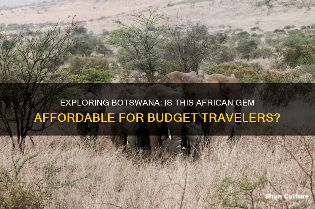 is botswana too expensive for the average traveler