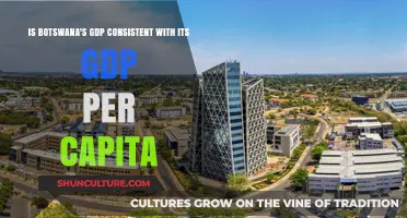Botswana's GDP vs. GDP Per Capita: A Consistent Economic Picture?