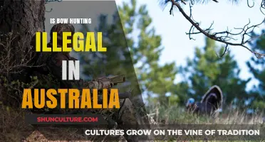 Bow Hunting in Australia: Is It Legal?