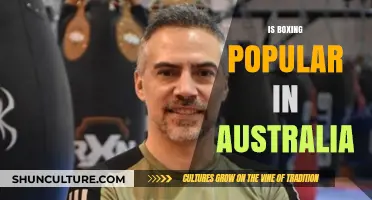 Boxing in Australia: A Popular Sport?