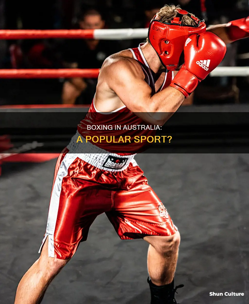 is boxing popular in australia