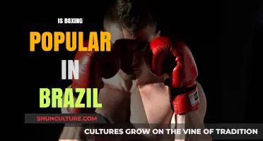Punching Above Its Weight: Boxing's Popularity in Brazil