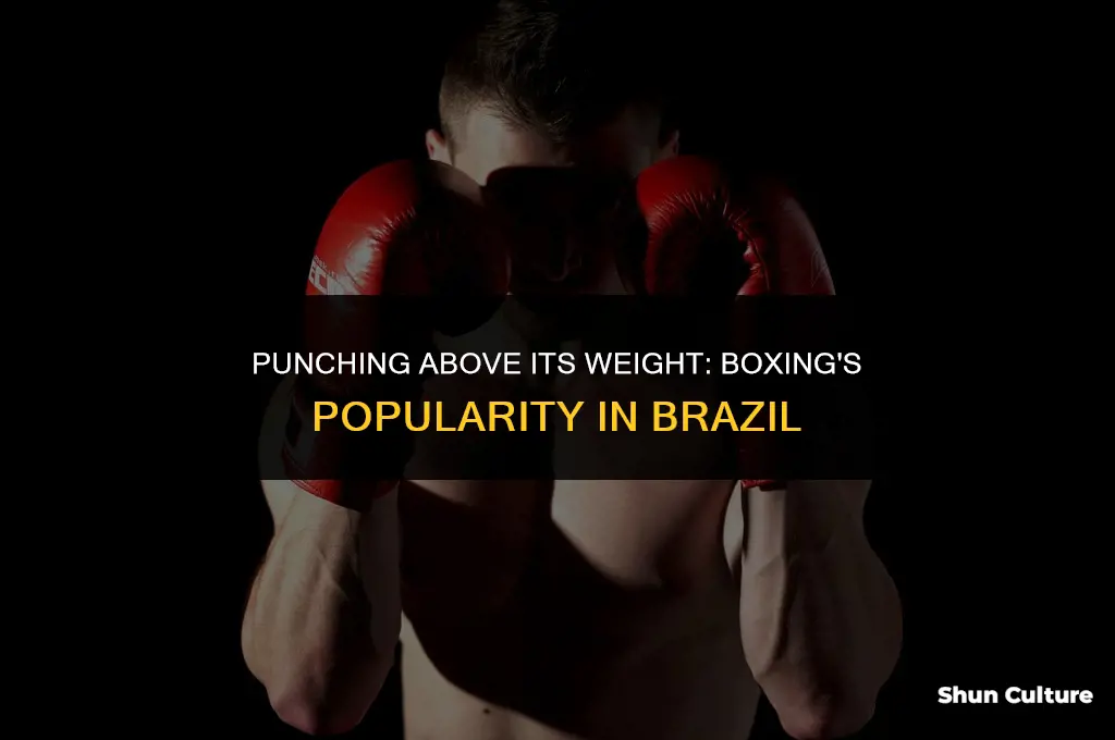 is boxing popular in brazil