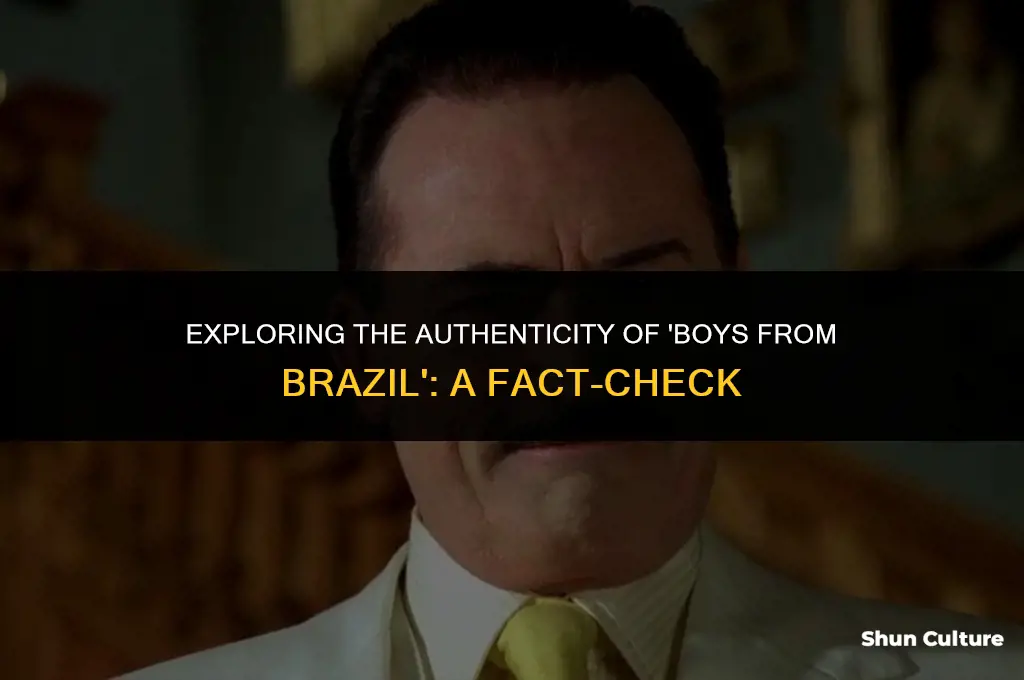 is boys from brazil true
