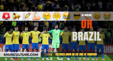 Exploring the Spellings: Brasil vs. Brazil - Which is Correct?