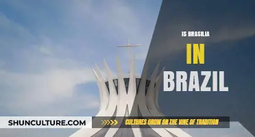 Exploring the Heart of Brazil: A Guide to Brasília