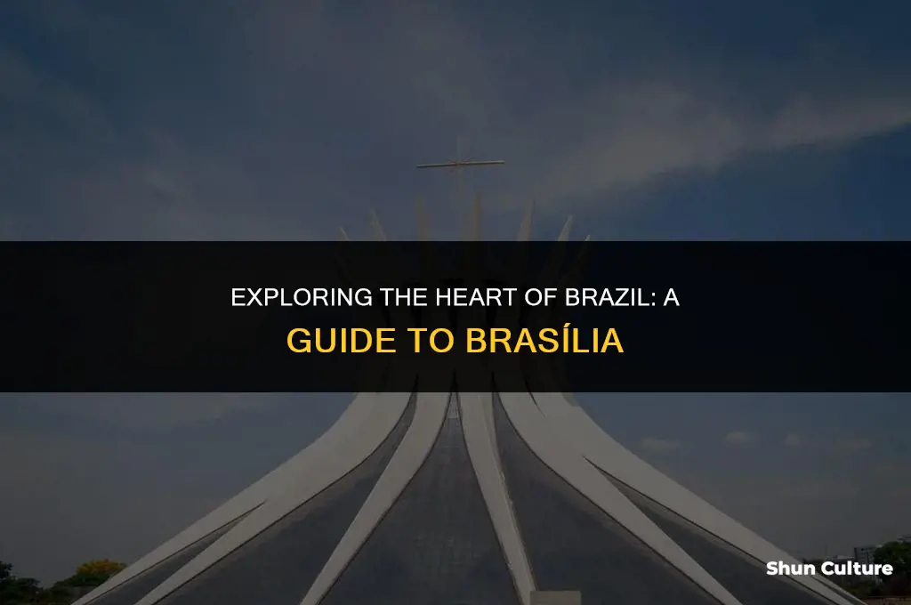is brasilia in brazil